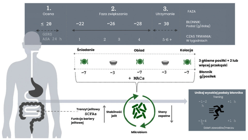 Błonnik w diecie biegacza 